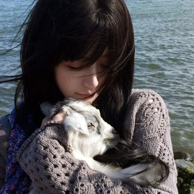 混世闲喵 海报