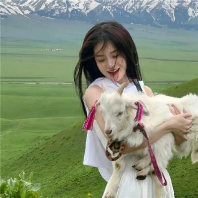疯狂开麦拉 海报